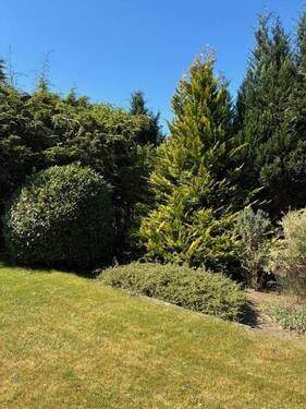 Garten - 