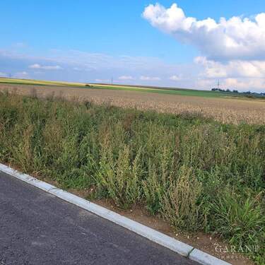 Grundstück - Grundstück in Ditzingen