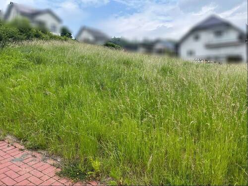 Bild 4 - Grundstück in Eschenburg zum Kaufen