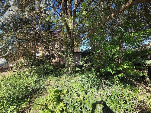 20260408_162630.jpg - Einfamilienhaus mit 120,00 m&sup2; in Wasserliesch zum Kaufen