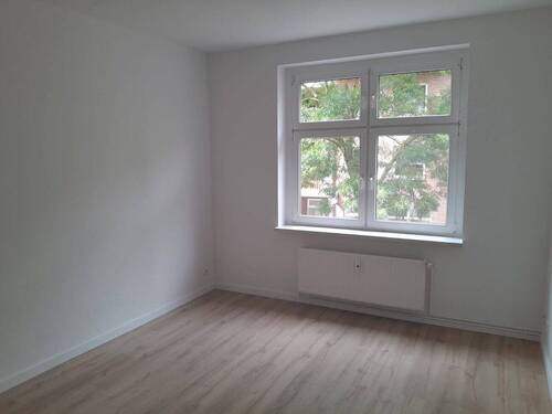 Zimmer - 