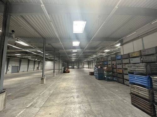 Hallenansicht III - 