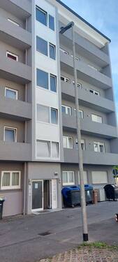 20250825_115123.jpg - 