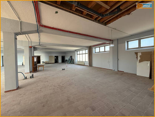 Halle - Halle zur Miete in Alsfeld