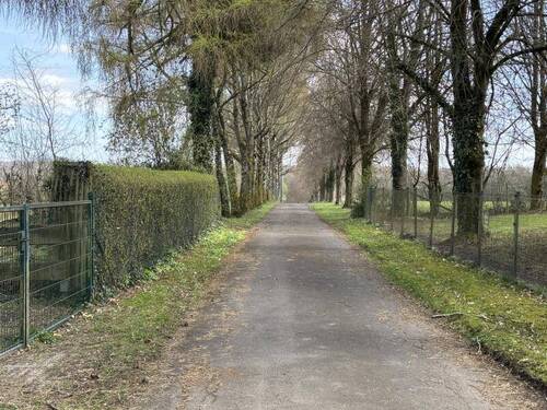 Spazierweg in unmittelbarer Nähe - 