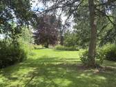 Garten mit Bewuchs - 