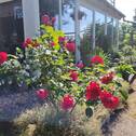Wintergarten, EG - Mehrfamilienhaus, Wohnhaus mit 290,00 m&sup2; in Weyhe zum Kaufen