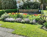 Garten - 