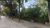 Straßenansicht - Grundstück zum Kaufen in Falkensee