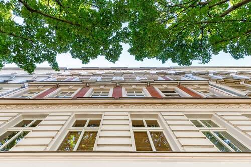 Urban Sanctuary - 