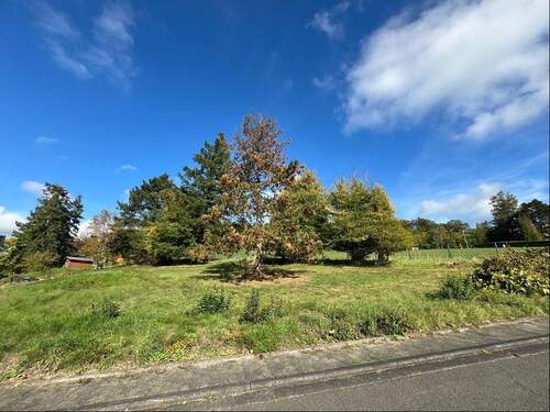 Ansicht - Grundstück in Sinn