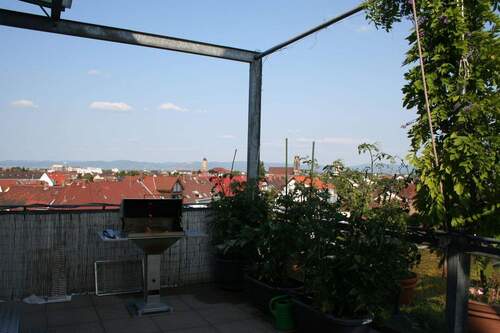 Blick_Osten_Sommer_01 - 5 Zimmer Terrassenwohnung in Mannheim