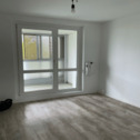 Raum - Schicke 3-Raumwohnung im Zentrum von Halle mit Balkon.