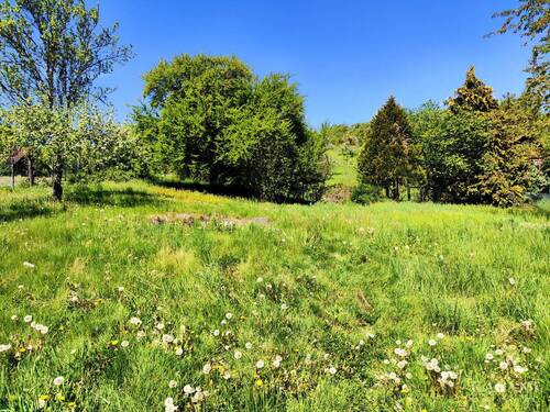 Gartengrundstück - 