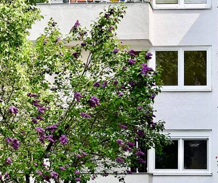 ISO-Kunststoffenster - 