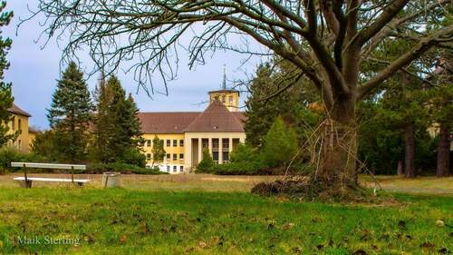 Objekt - Einfamilienhaus in Ballenstedt zum Kaufen