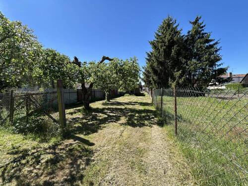 Blick vom Garten - 