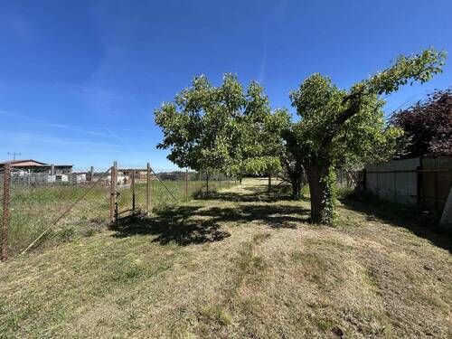 Garten - 