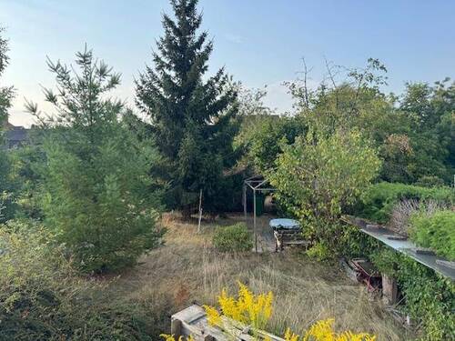 Bild3 - 3 Zimmer Einfamilienhaus in Limbach