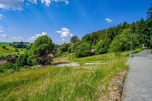 Zufahrt von oben - Grundstück in Grasellenbach / Hammelbach