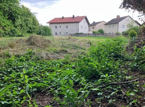Ansicht zu der Straße - Baugrundstück in Dorfen - 558.000,00 EUR Kaufpreis, ca.  0,00 m²