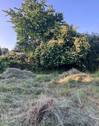 Ansicht - 