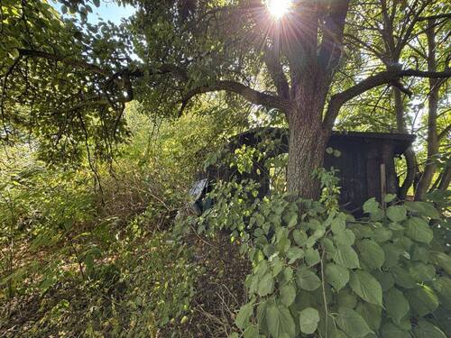 Garten - 