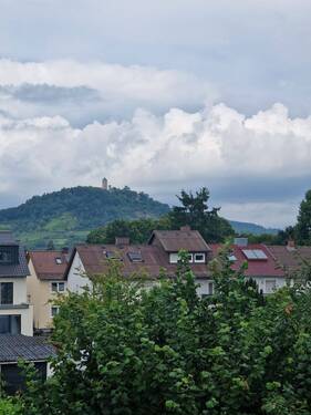 20250728_160443.jpg - 
