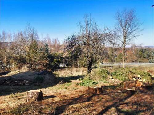 Grundstück - Grundstück in Olbersdorf