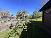 Garagen - 6 Zimmer Einfamilienhaus in Harsefeld