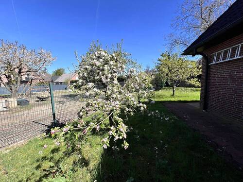 Garten - 