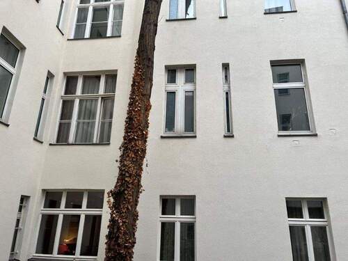 Fassade_SF_nah - 