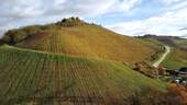 Ausblick Weinberge - 