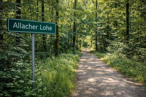 Allacher Lohe KI Bild - 