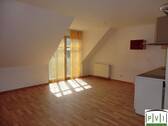 Wohnraum mit Küche - 