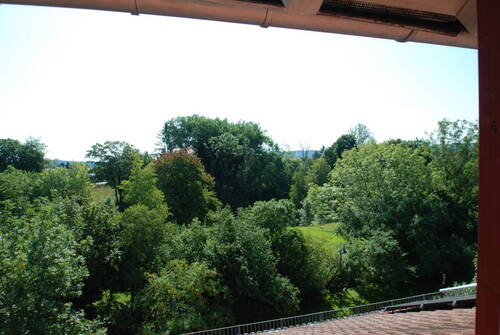 Blick vom Dachstudio ins Güne - 