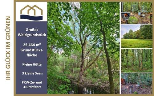 Titelbild - Über 2 ha Mischwald mit 3 kleinen Seen bei Rastede - Freizeitparadies zum entschleunigen