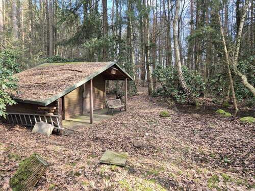 Waldhütte - 