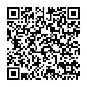 QR-Code - 