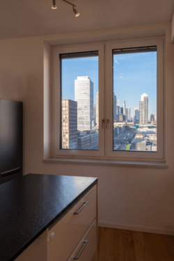 View from the kitchen counter - 