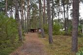 Ansicht 1 - Traumhaftes Waldgrundstück in Michendorf