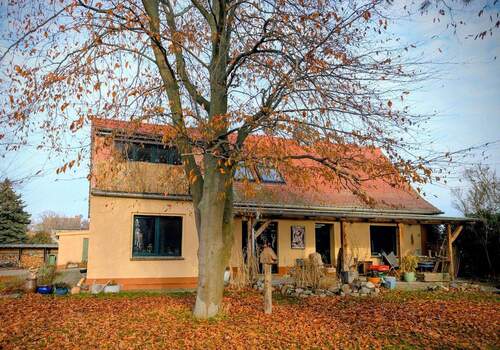Ansicht vom Garten - 5 Zimmer Einfamilienhaus in Burg