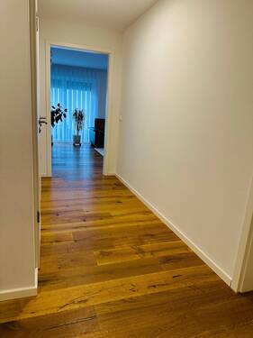IMG_8906.jpeg - 
