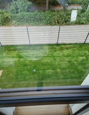 Screenshot_20230804_130519_Gallery - 