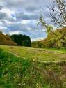 Blick südöstlich auf die anliegende Weide vom Ga - 