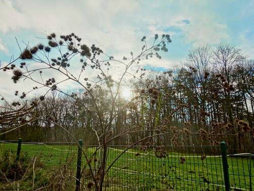 Impression Garten Ausblick auf die anliegende Weid - 