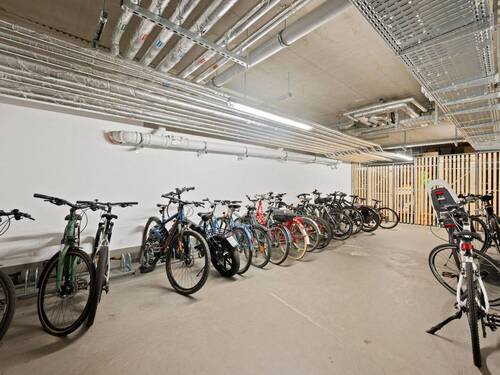 Fahrradkeller - 