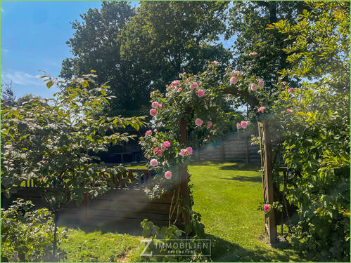 Rosenbogen - 