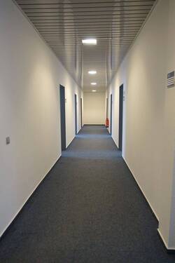 Flur - Büro in Magdeburg zur Miete