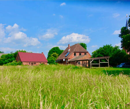 Hofblick von der Weide.jpeg - Idyllischer Landsitz am Fluss im Biosphärenreservat Elbtalaue – Perfekt für Pferdeliebhaber, Tierhalter und Selbstversorger - Pferdehaltung Wendland